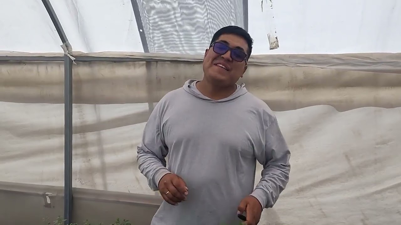 Jardín de polinizadores : plantas nativas para insectos nativos.