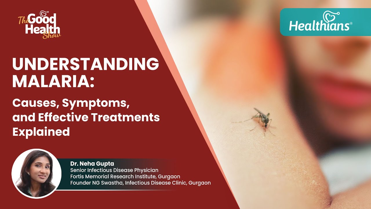 What is Malaria? Symptoms, Causes, Treatment |The Good HealthShow | Healthians