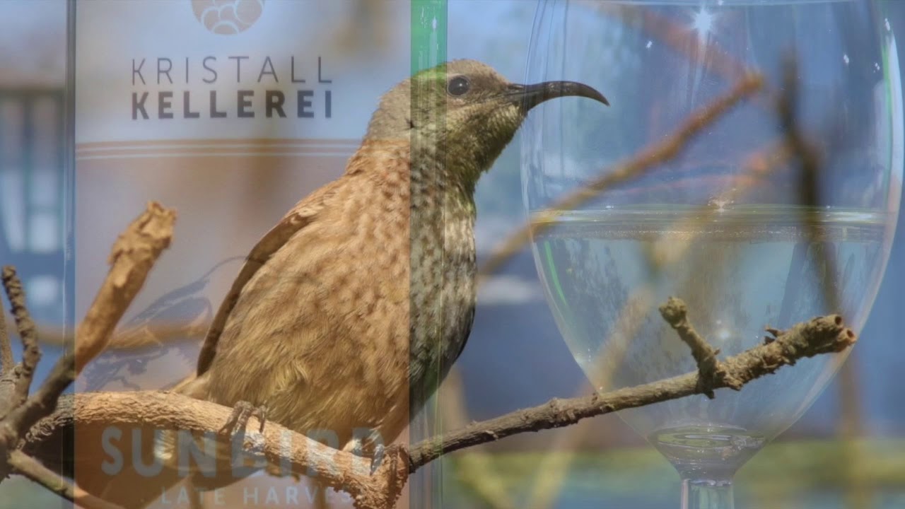 KRISTALL KELLEREI PROMO