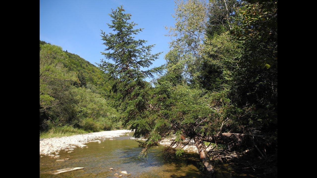 BIESZCZADY. OSŁAWA - jesień 2018.