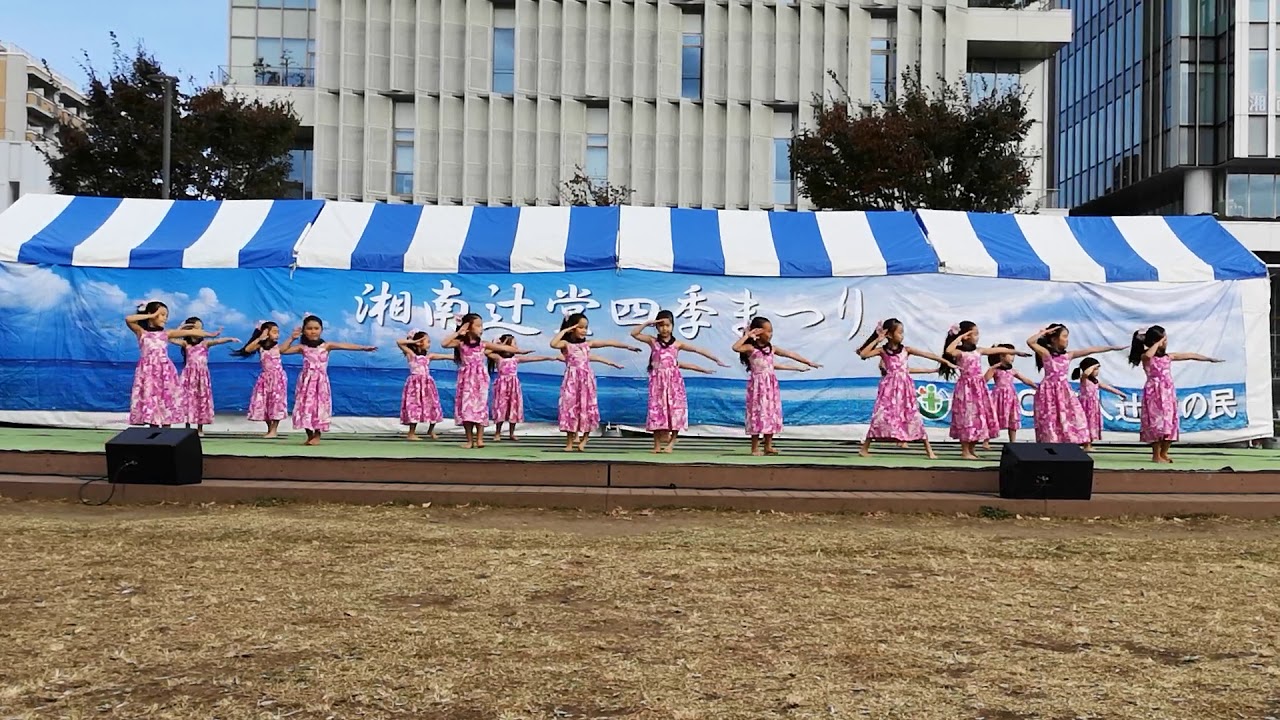 カロケメレメレフラスタジオ メドレー 辻堂四季まつり　2020/11/1