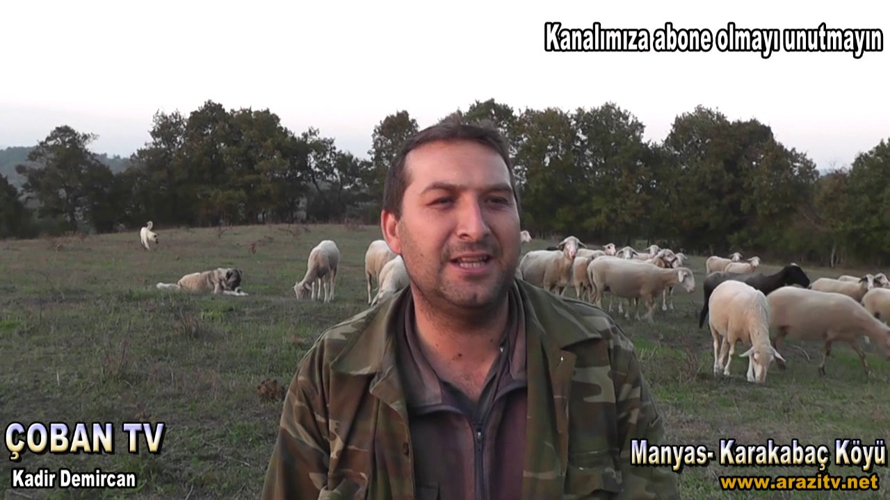 Çobanla Başbaşa Balıkesir Manyas Karakabaç Köyü Pazar 15.00 da ÇiftçiTV de