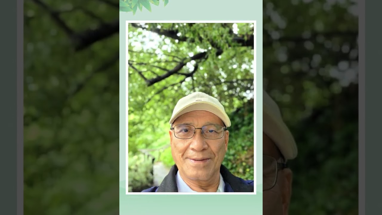 紐西蘭南島箭鎮