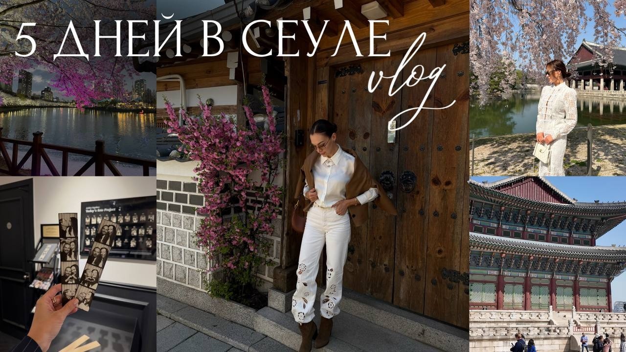VLOG: Сеул: улетели на 5 дней вдвоем с мужем без ребенка - сакура, день рождения, интересные локации