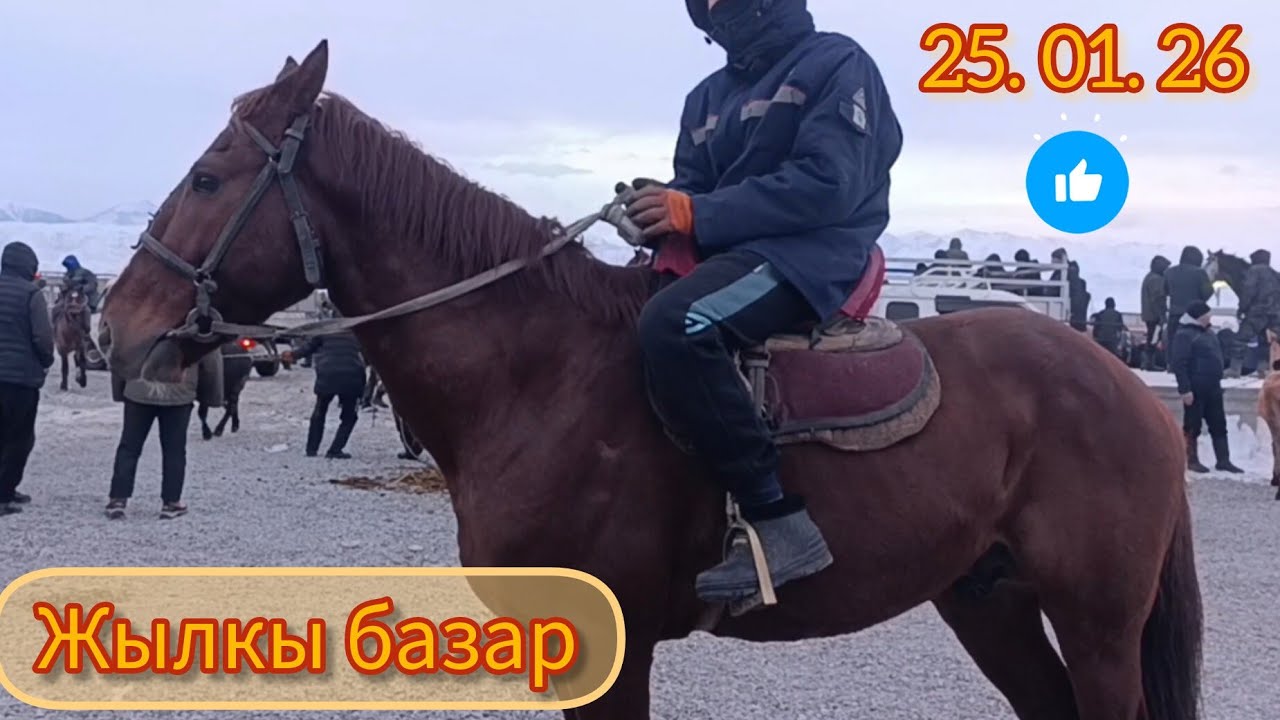 25.01.2026жыл ЧЫМ КОРГОН МАЛ БАЗАРЫ 🔥👍🏻💥