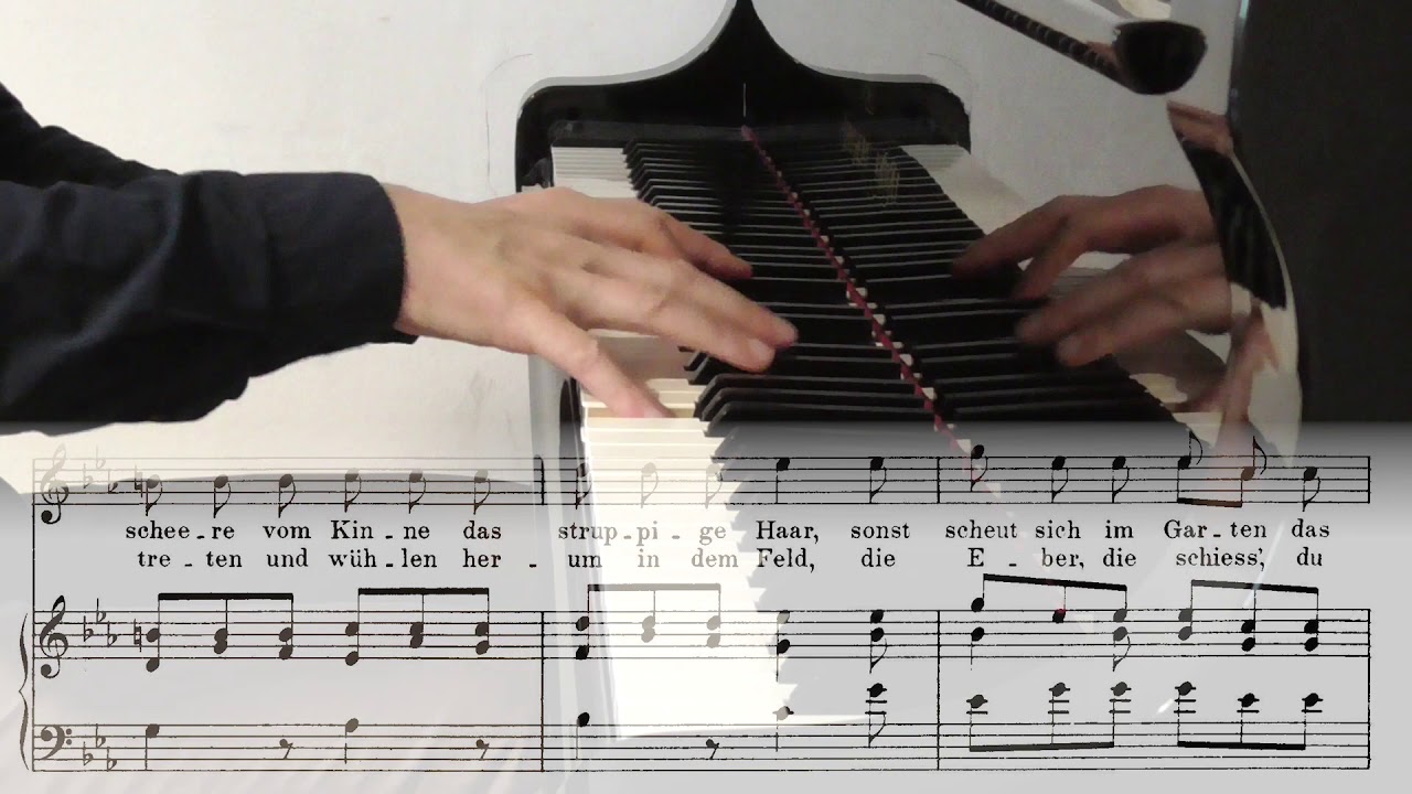 Franz Schubert: Die schöne Müllerin D 795 - 14 - Der Jäger