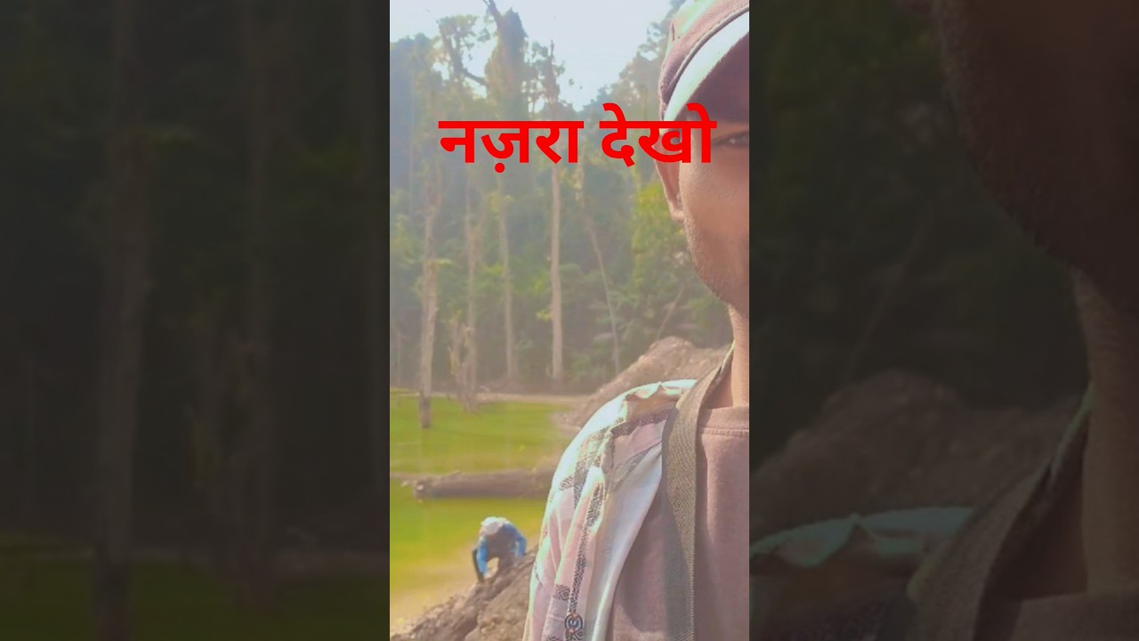 ye najara dekho bohot hi khupsurat hai//#village #paharpur #vloger #jangal #viral.