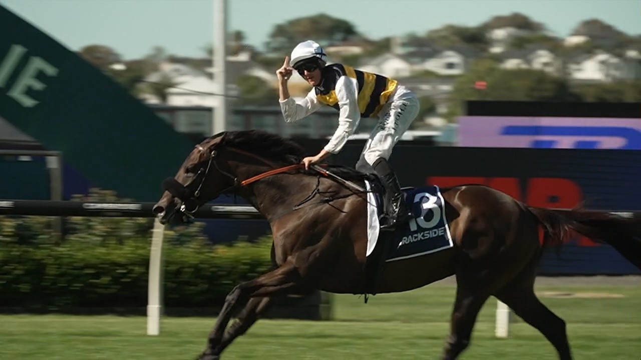Gr.2 Trackside Auckland Cup - Paradise Storm