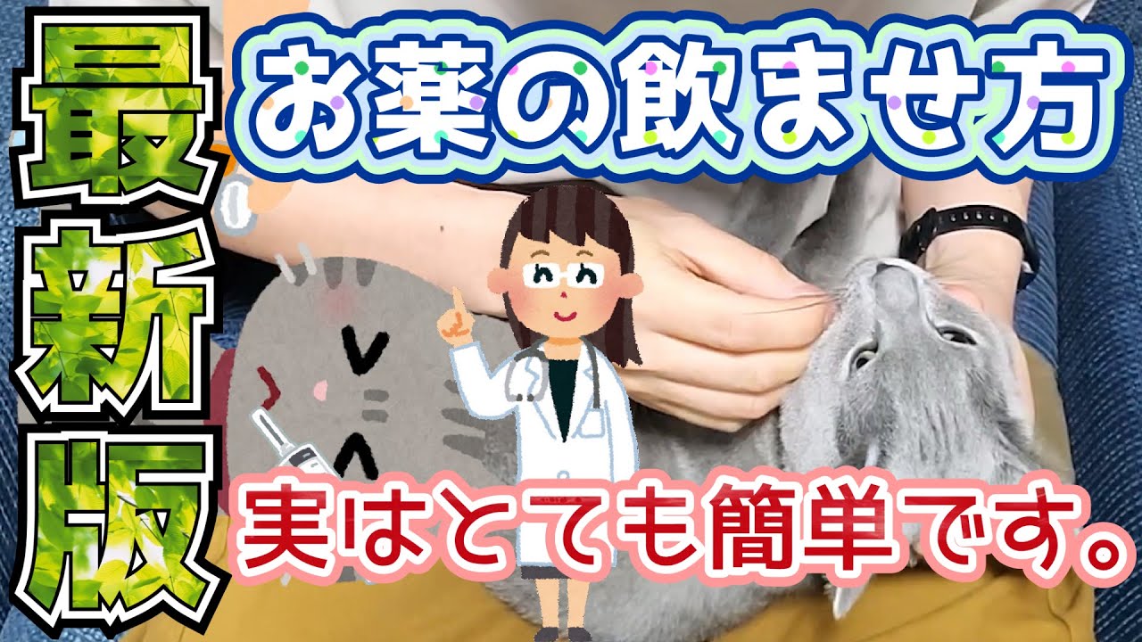 ★保存版【お薬の飲ませ方】猫専用『大丈夫！けっこう簡単なんです』錠剤中心にいろいろな方法～粉薬・液体まで #7