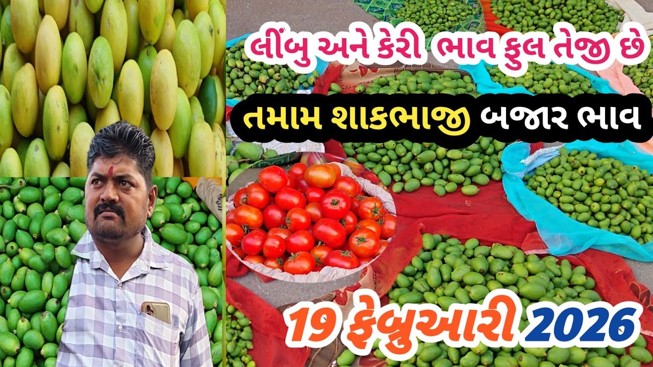 19 February 2026 .કેરી બજાર ભાવ ફુલ તેજી છે | રીંગણ એન લીંબુ 🍋 ભાવ વધારો | તળાજા માર્કેટ યાર્ડ 