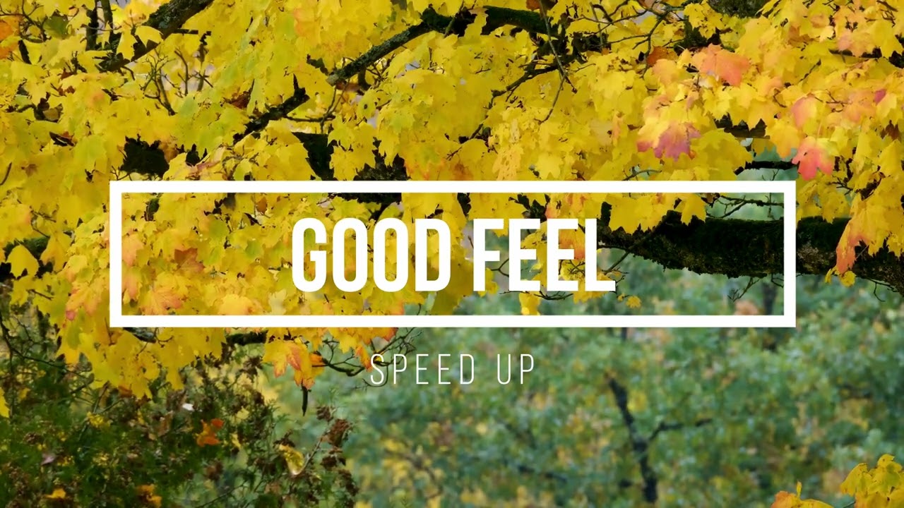 Andia - La nevedere | speed up 2022
