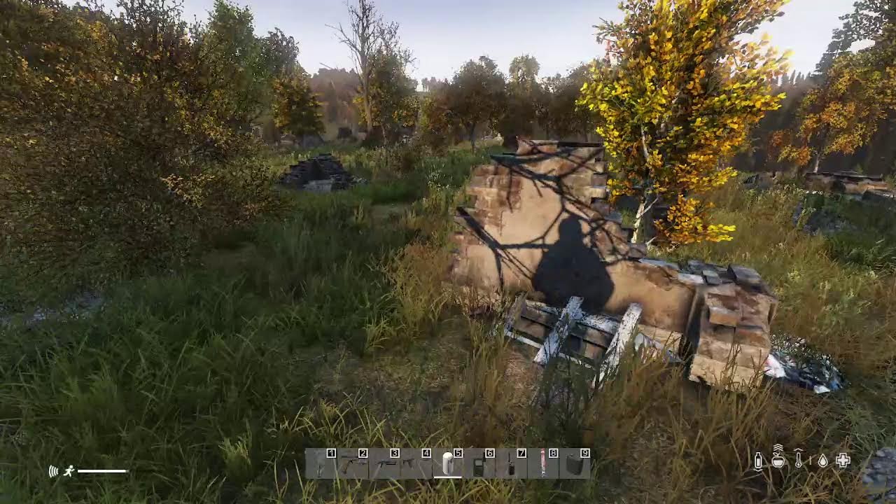 DayZ in Organic Servers