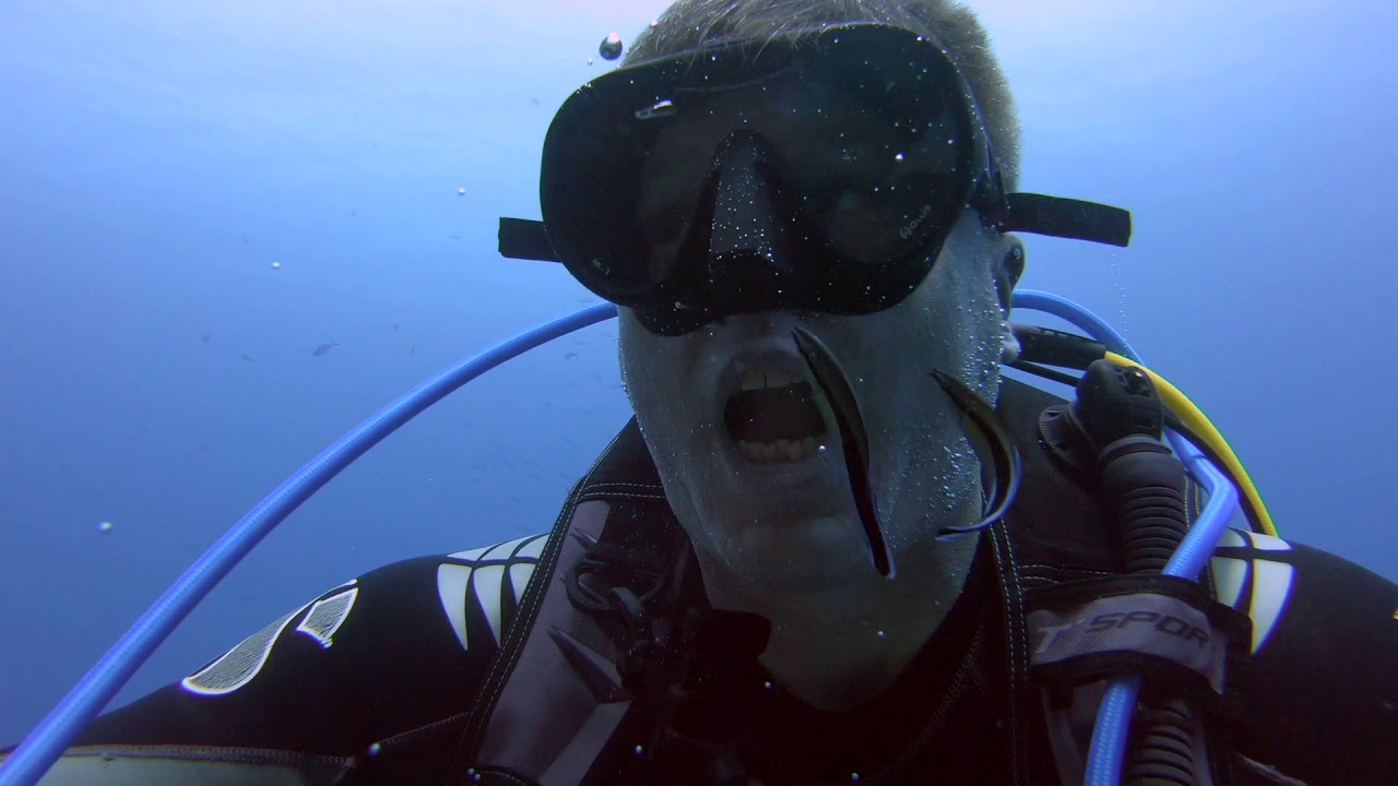 Diving Dahab May 2019