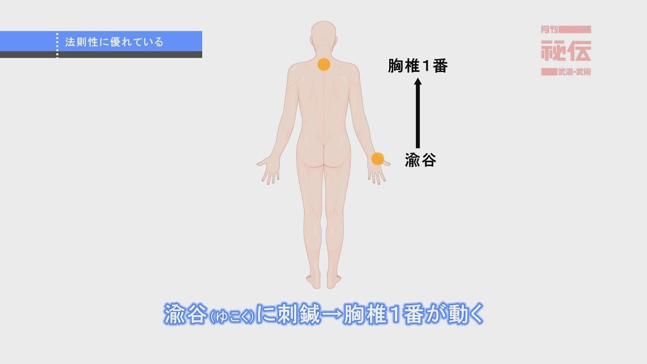 整動鍼【人体の連動パターンを使う】栗原誠先生