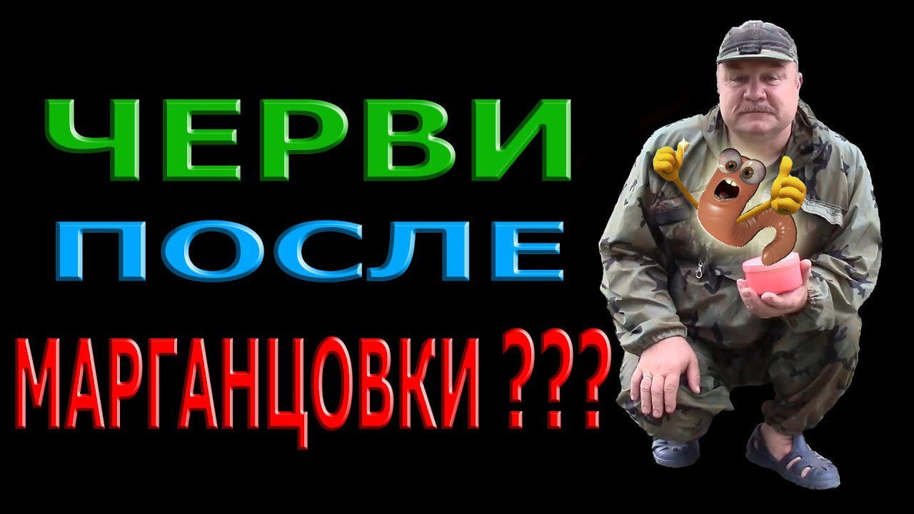 ЧЕРВИ после МАРГАНЦОВКИ ? Ответ 