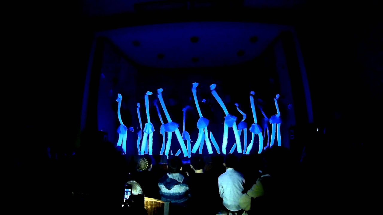 Strucc tánc (ostrich dance)