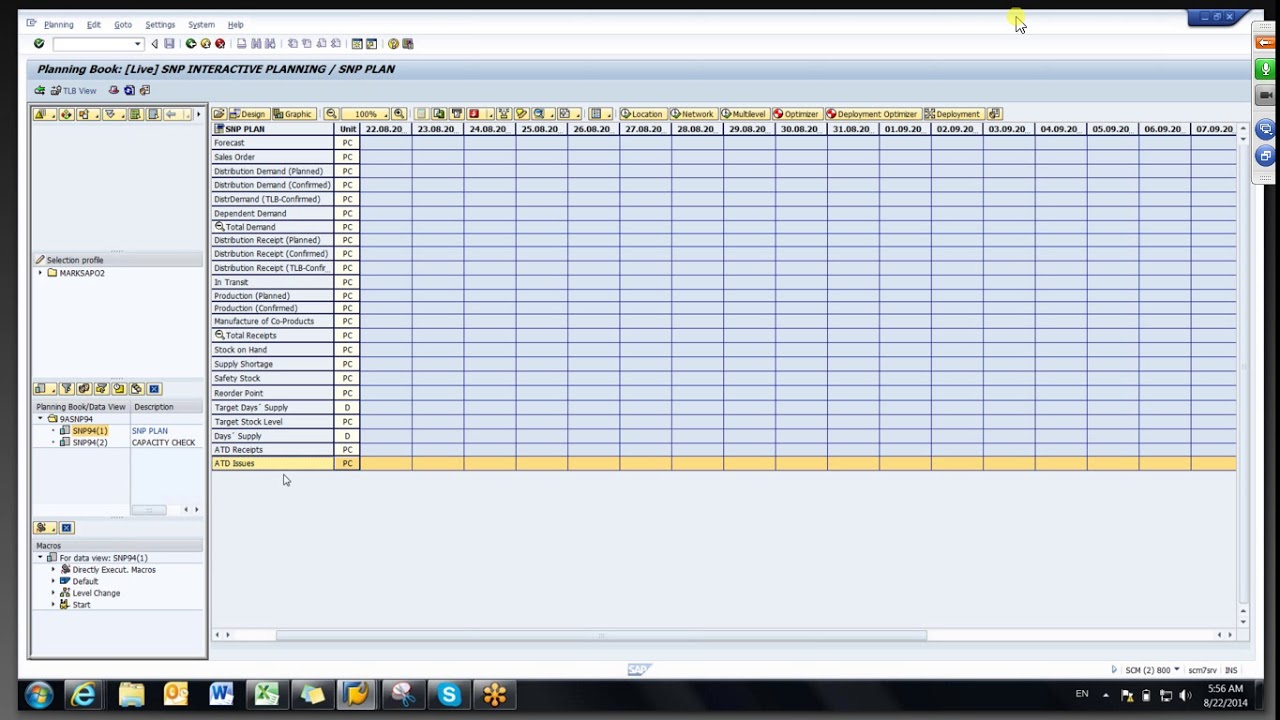 SAP APO SNP Video Training