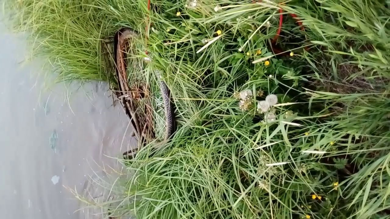 Magneettikalastusta pienen sillan alla