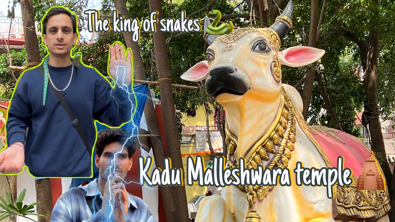 Spiritual Trip Ya Fun Trip😜 Mandir Mein Masti Bhakti + Fun Ka Perfect Combo @Ashu_Natt 