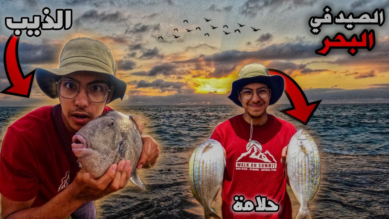 كفاح بحار : تحدي صيد سمك الذيب😱 حصيلة ضخمة من سمك حلامة😍ساحل الرباط 🔥