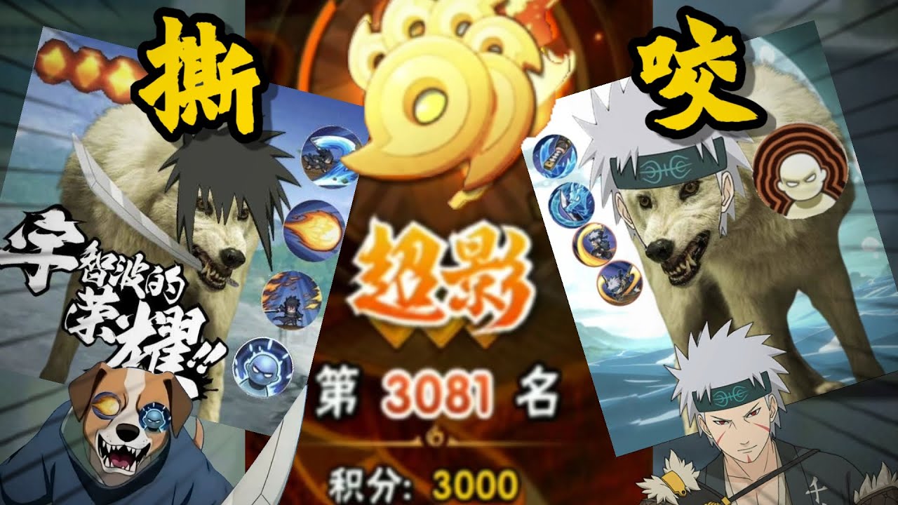 ⚡超影3000将会迎来疯狂的野狗撕咬!⚡