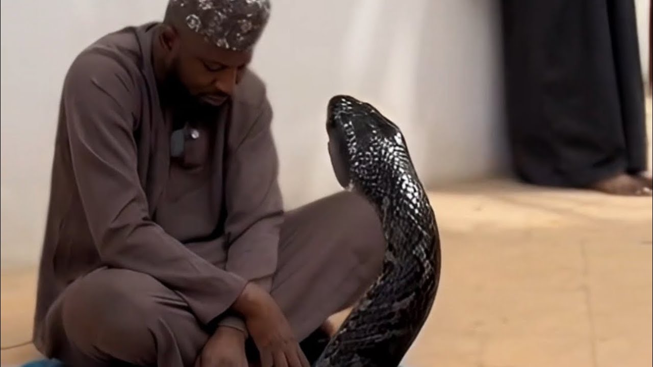 They Challenged His God… But They Regretted It Immediately
