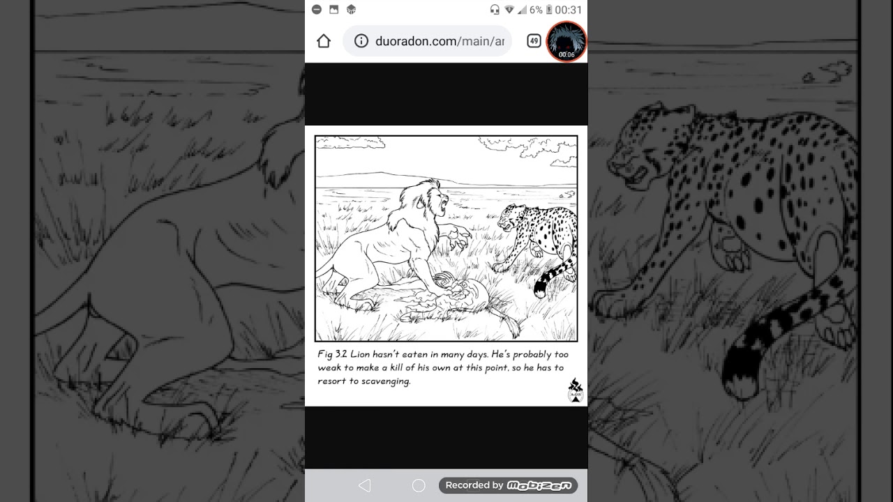 Duo randon comic: lion study series (vers&atilde;o pt br)