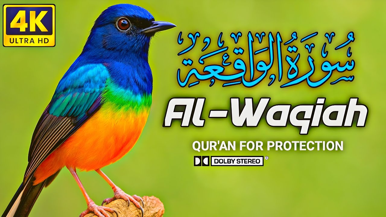 Manifest Abundance & Success: Surah Al-Waqiah (The Surah of Wealth) | Zain Abu Kautsar