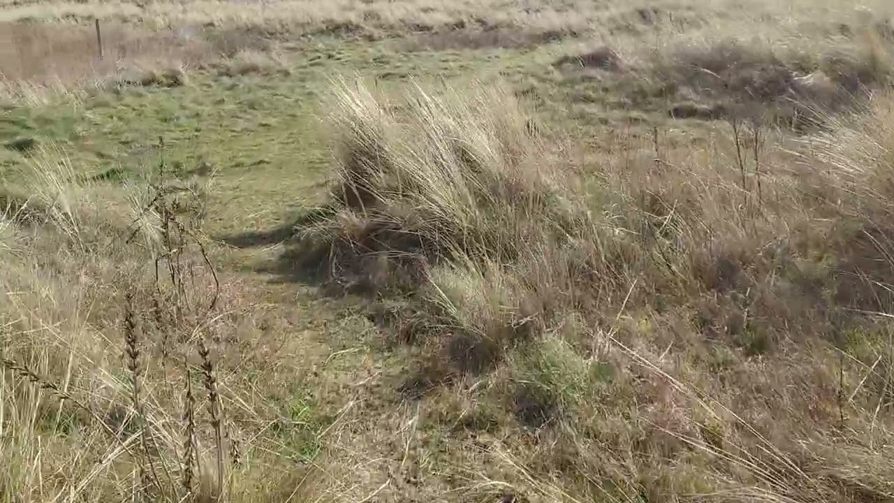 Sefton coast walk , UK (part 1)