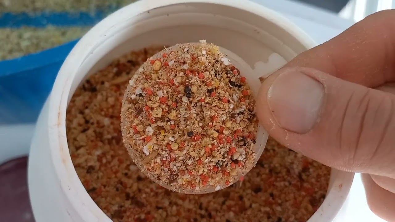 QUAL ALIMENTAÇÃO FORNECEMOS PARA OS CANÁRIOS 