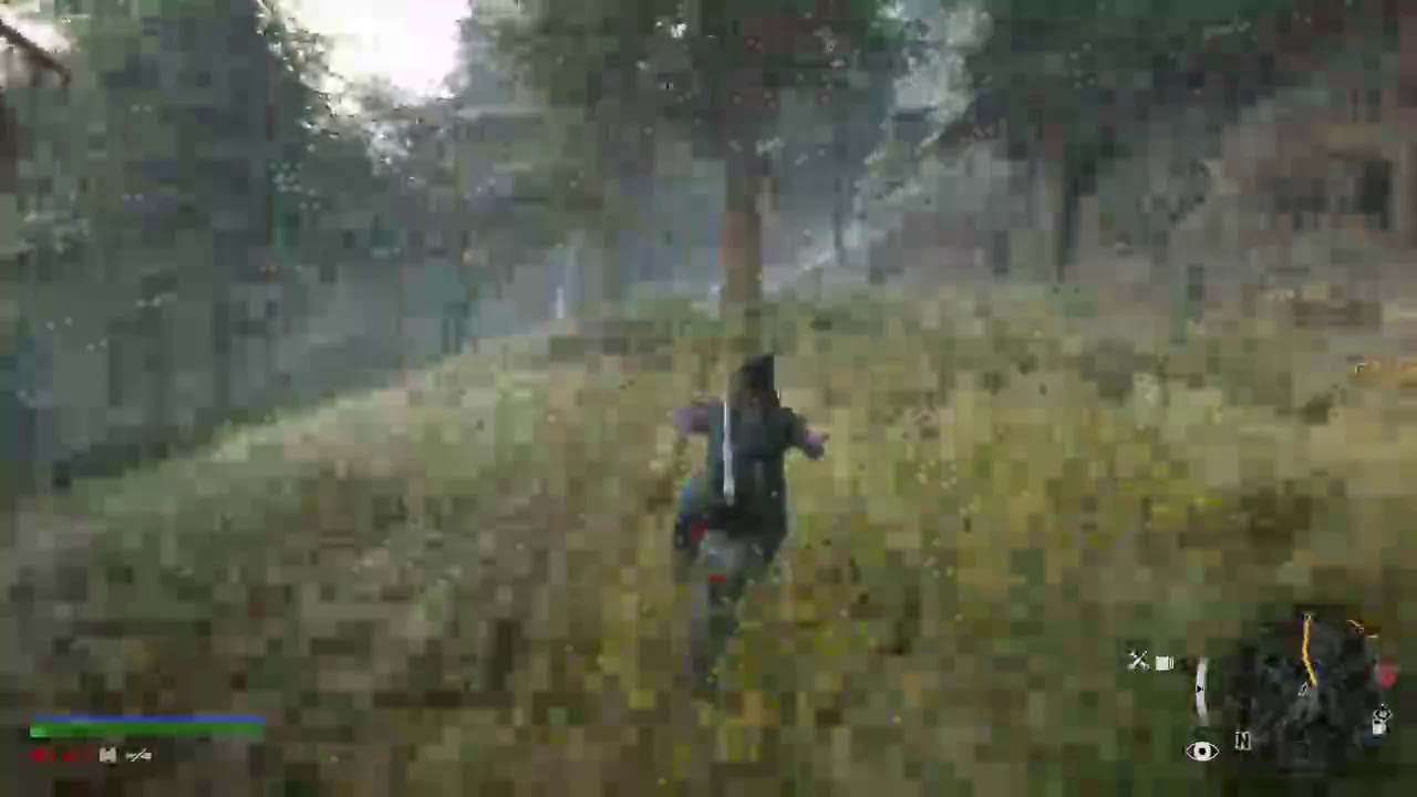 Days gone 794.Gun