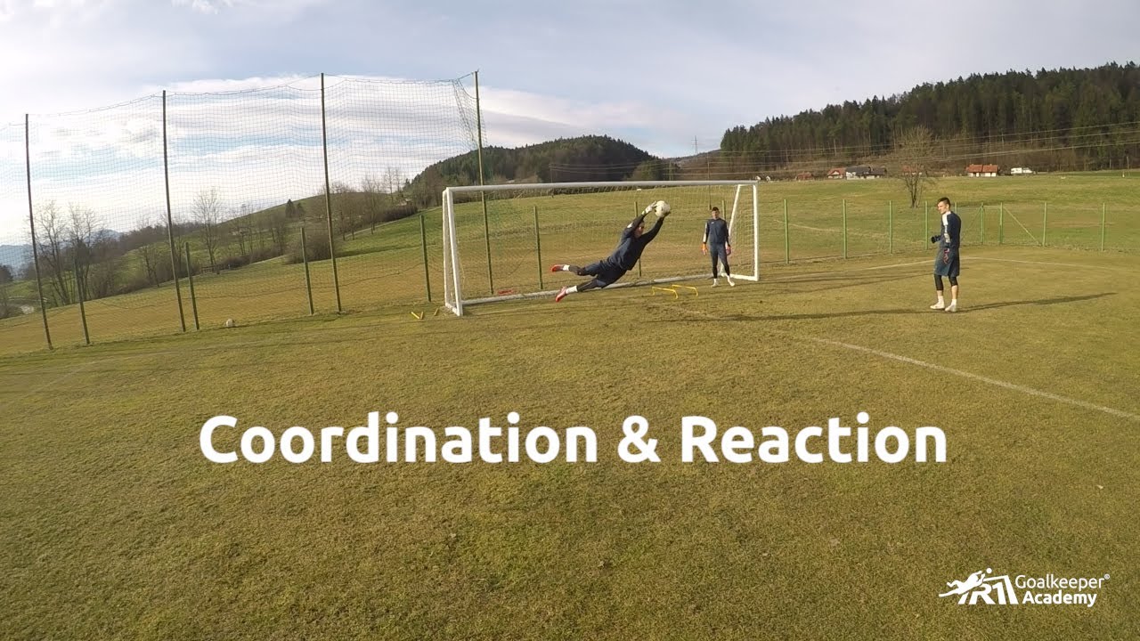Goalkeeper training: Coordination & Reaction