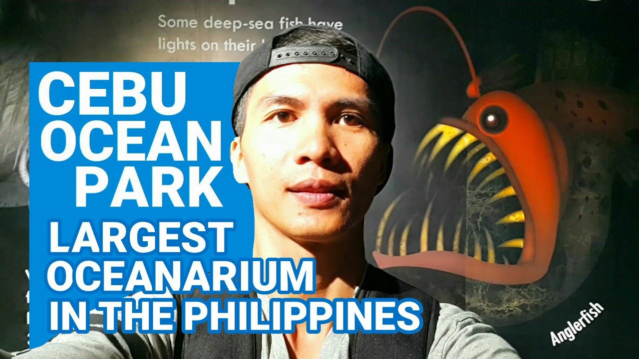 Biggest Oceanarium in the Philippines | Cebu Ocean Park
