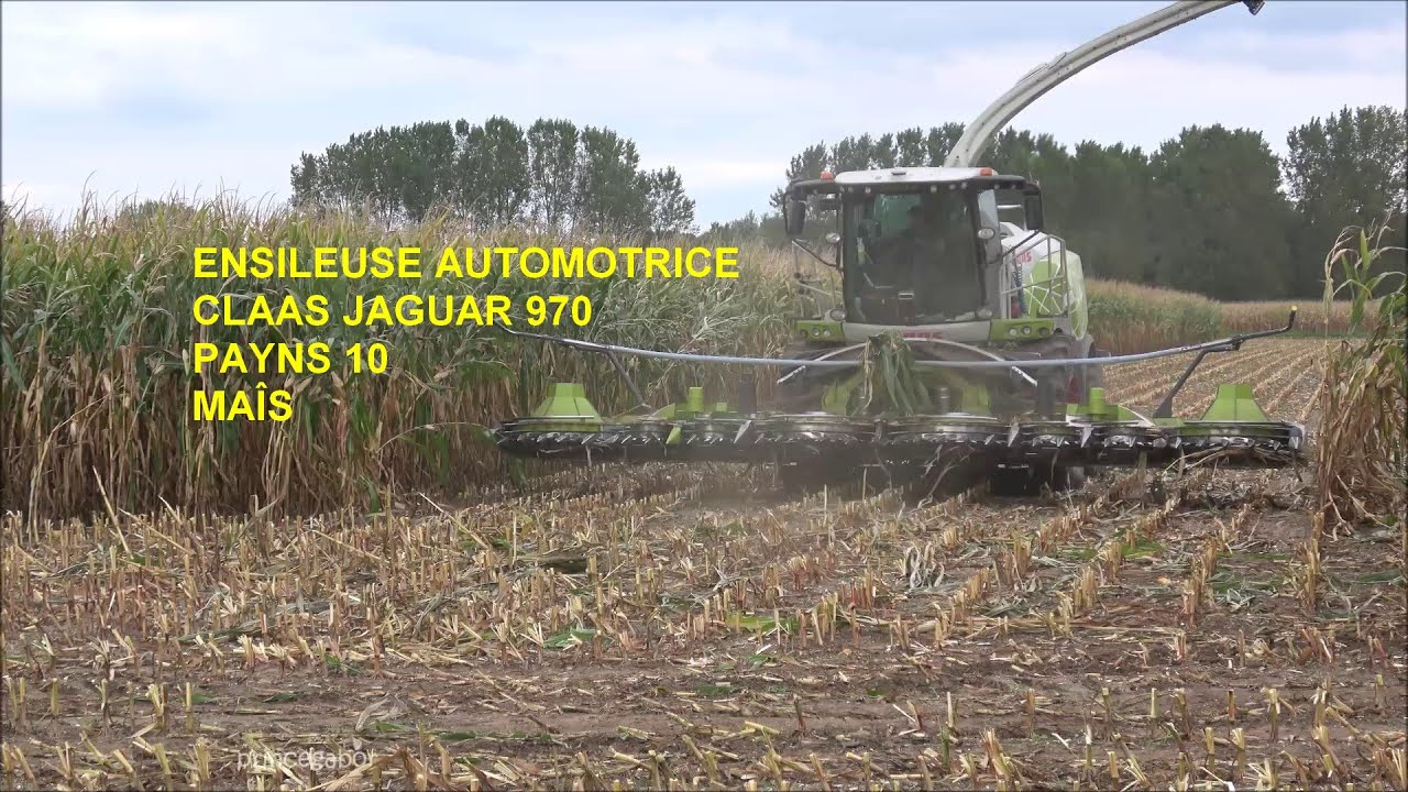 ENSILEUSE AUTOMOTRICE / CLAAS /JAGUAR 970 /PAYNS /AUBE