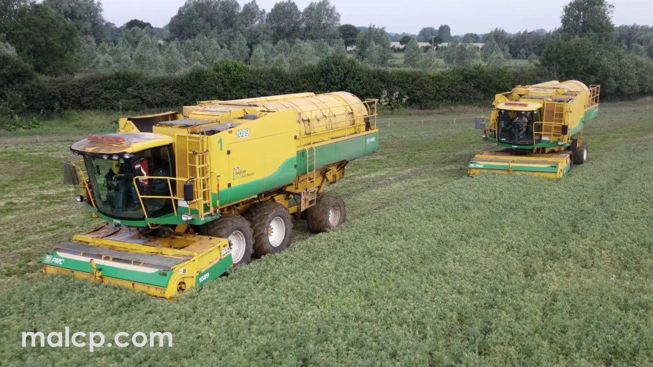 Harvest 2022: Anglian Pea Growers vining peas in Easton, Suffolk. Ploeger PMC GP 1189 1089 harvester