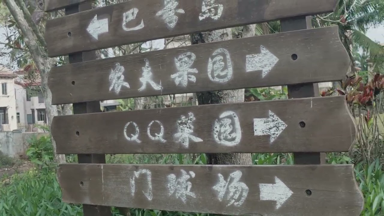 Walking in Rhythm: Chengmai Fitness Park & The Meiting Meilang Twin Pagodas 在澄迈健步公园吸氧，在美榔姐妹塔下穿越
