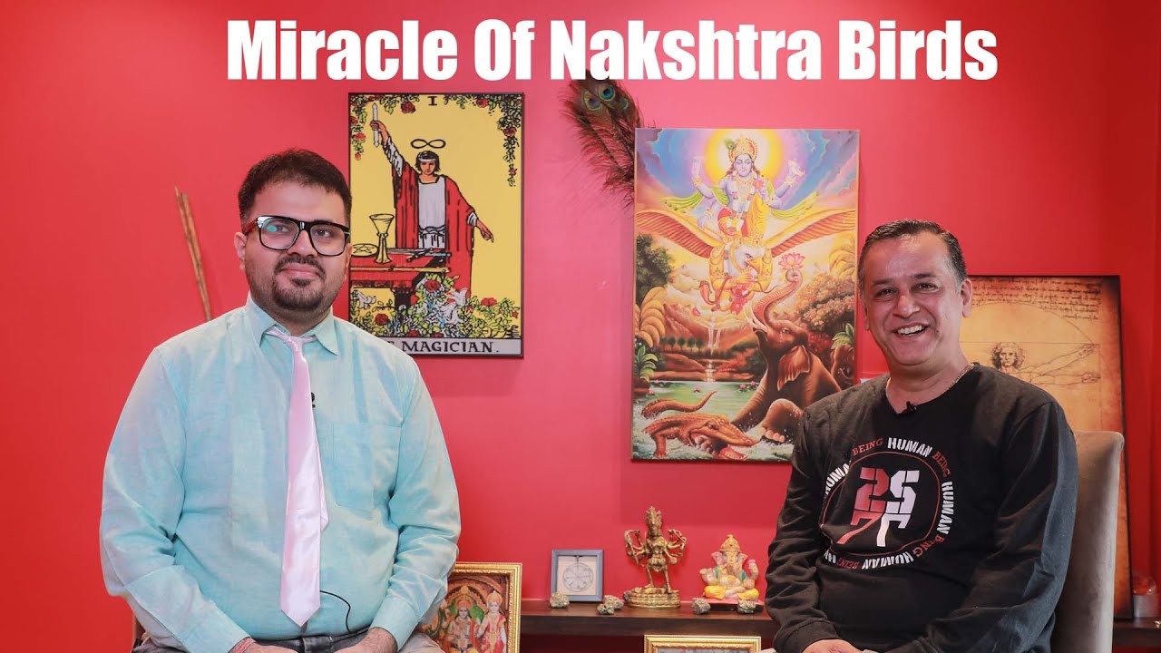 The Miracle Of Nakshatra Birds..