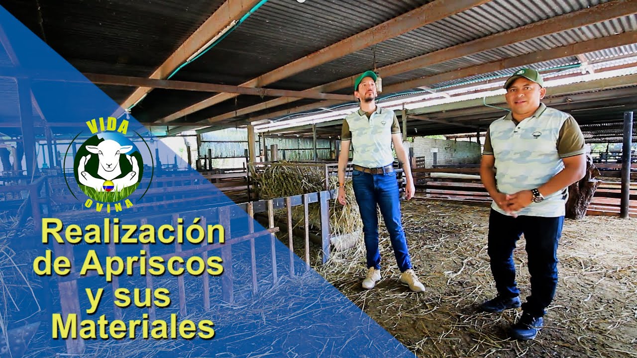 VIDA OVINA TV 39. Construcción de Apriscos y materiales