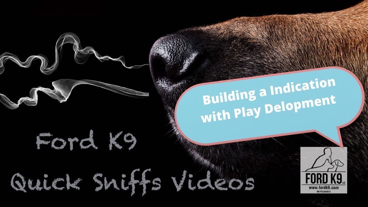 How to build a Alert to odor with Indication and Play development