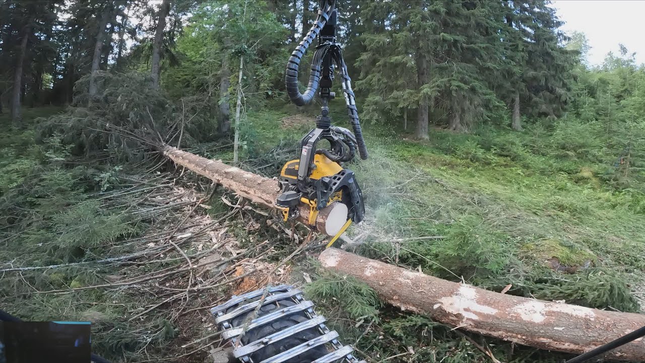 Vartti meni ensimmäisen puun kanssa ja vaihteeksi taas kivistää hommat. Ponsse Scorpion K H7 AC FC