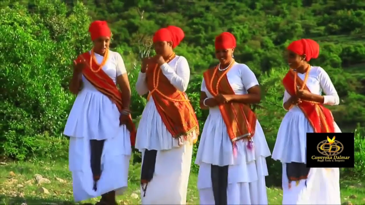 Dhaanto Cusub | Gobta Ceelka Ogadeen Ka Guursan Lahaa l Muxuyadeen Shaahid l Footage Remix