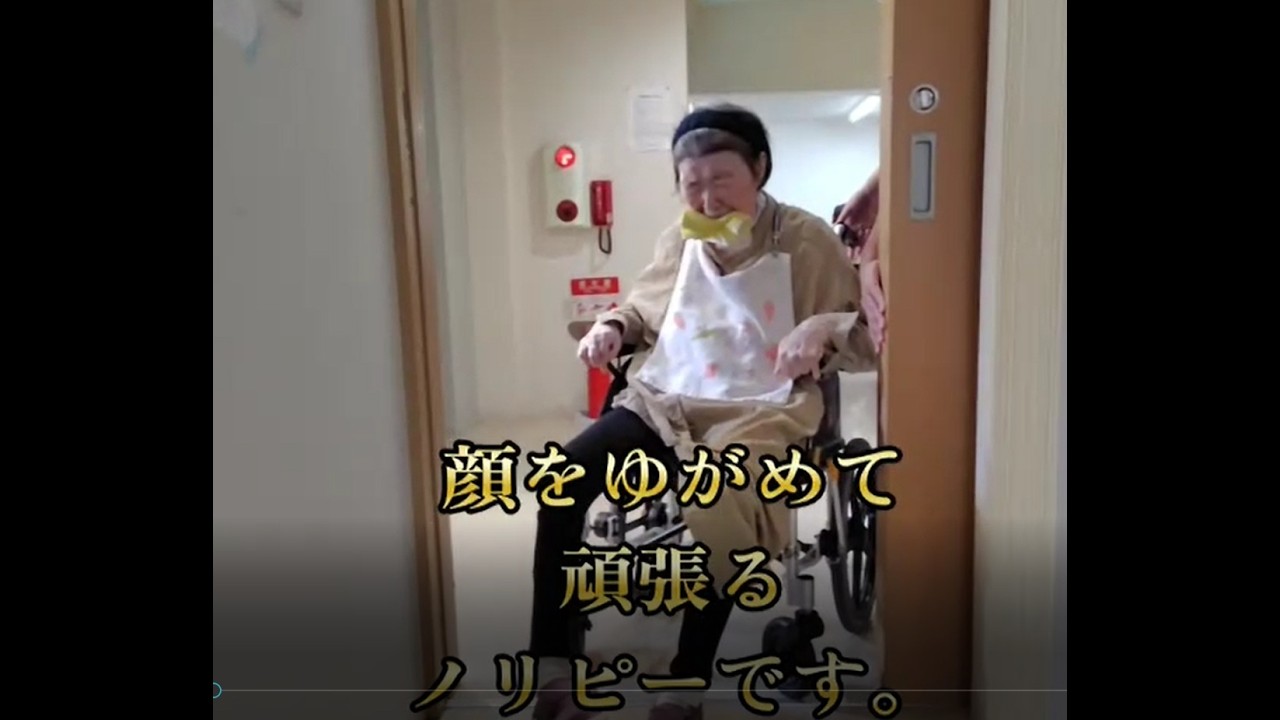 今日のノリピー 20260311 顔をゆがめて頑張るノリピーと、ケガをした猫ちゃんです。