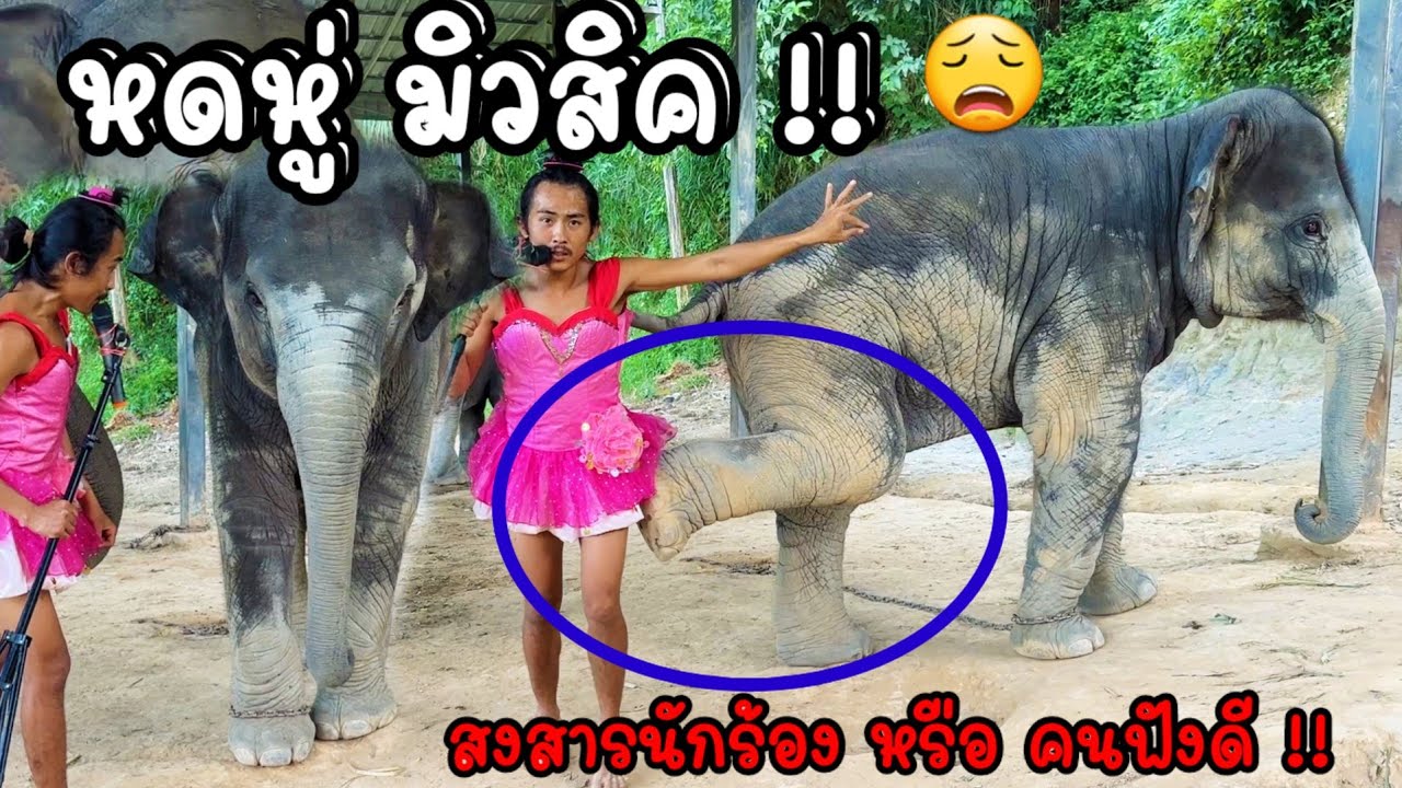 เมื่อ แดนซ์เซอร์ เต้นไม่ถูกใจ จูเนียร์ งานนี้มีจุก จะจ้างต่อหรือพอแค่นี้‼️
