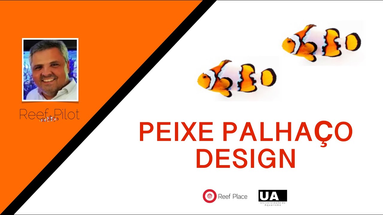 PEIXE PALHAÇO DESIGN