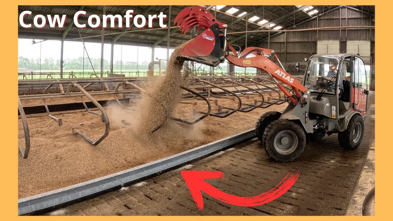 HOE maak je een Diep Strooisel Box? - Farm Vlog