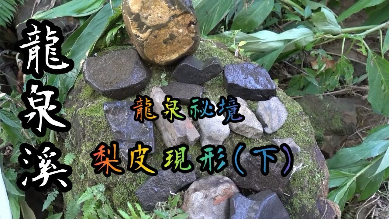 【力克行腳】龍泉祕境-梨皮現行(下) | 梨皮石採集