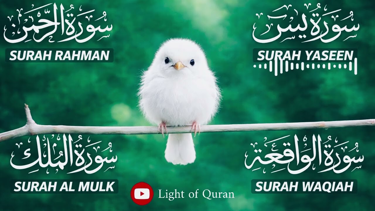 4 Powerful Surahs for Ramadan Nights 🌙 Yaseen • Rahman • Waqiah • Mulk