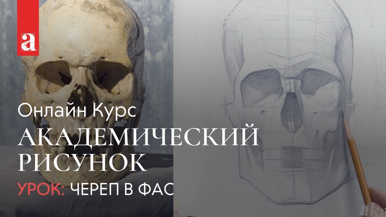 РИСУНОК ЧЕРЕПА В ФАС | Академический рисунок | Денис Чернов