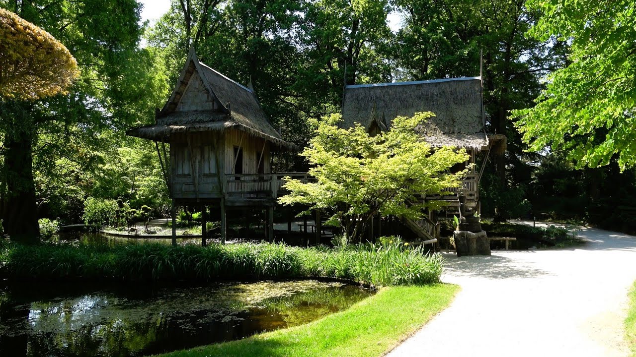 Amazing Oriental Water Garden