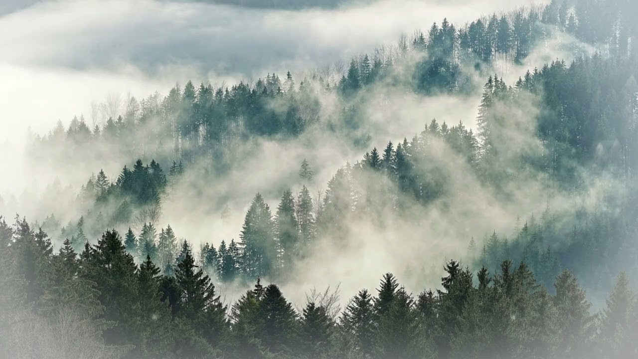 Mountain Relax